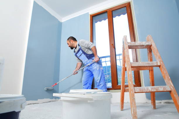 Best Post-Construction Mold Inspection  in Mford, IL