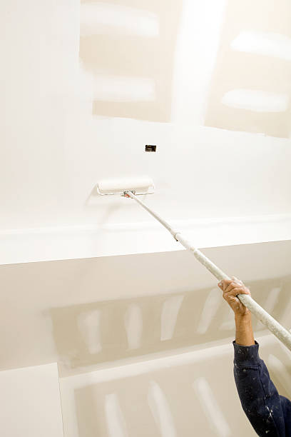Best Commercial Mold Inspection  in Mford, IL